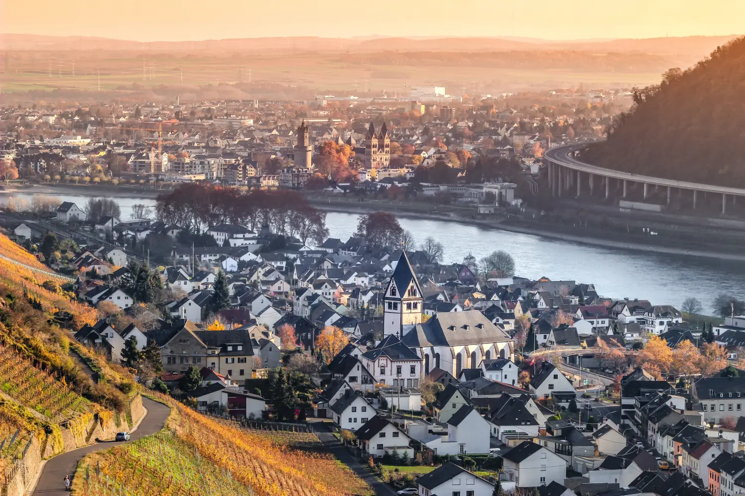 Marktsituation von Gutenberg Immobilien